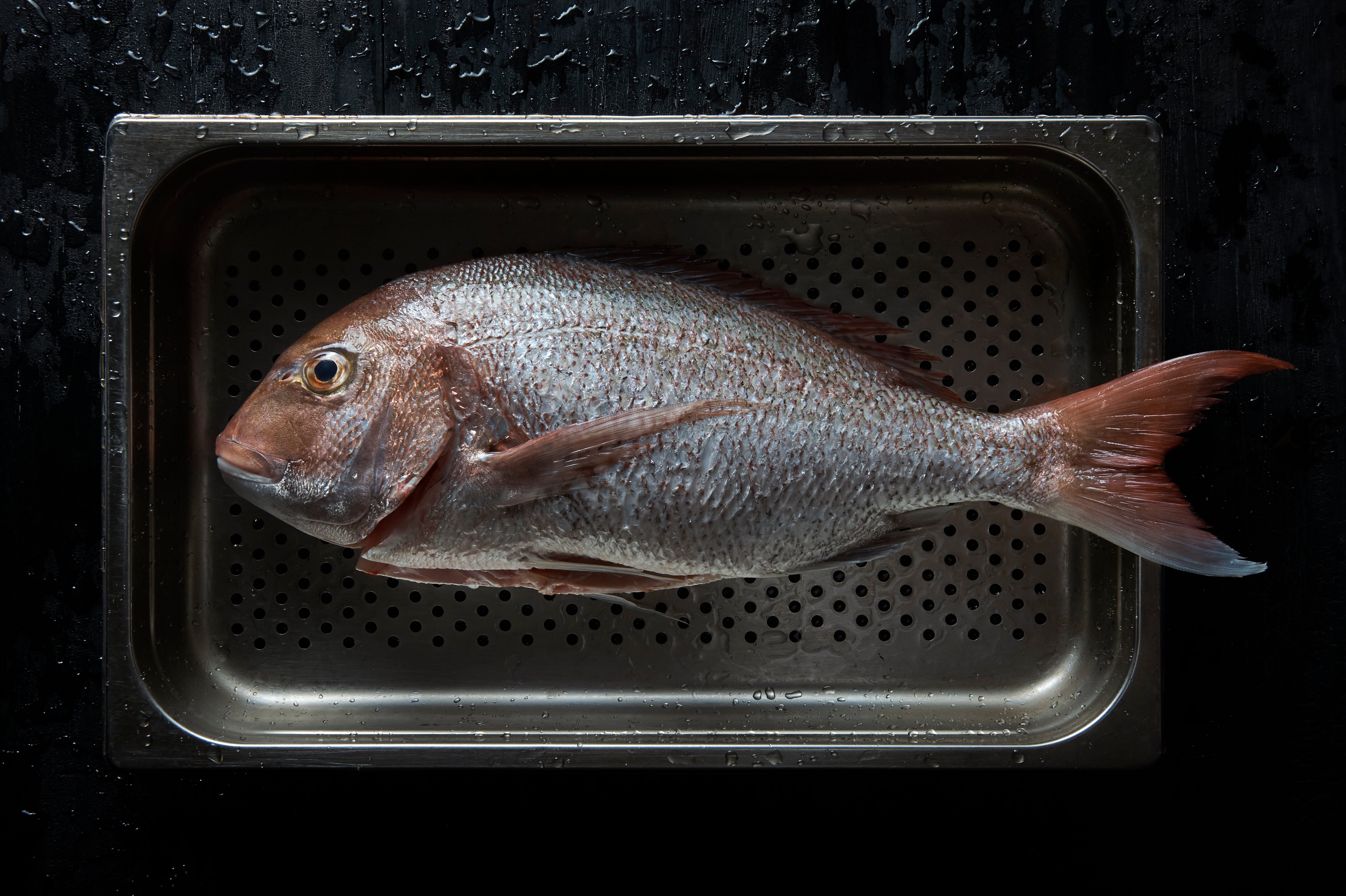 Cantonese-style steamed fish with bok choy