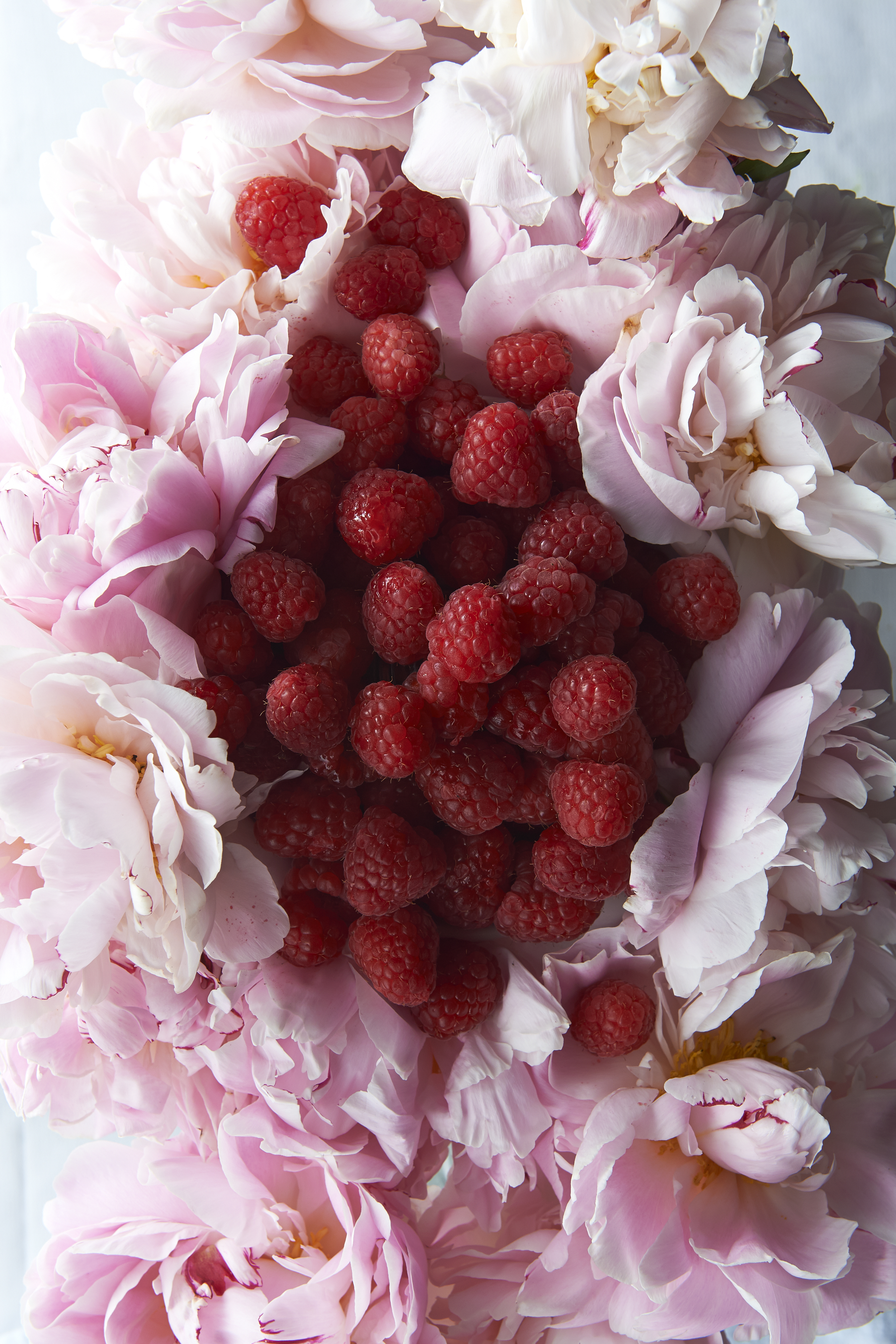 Summer pudding
