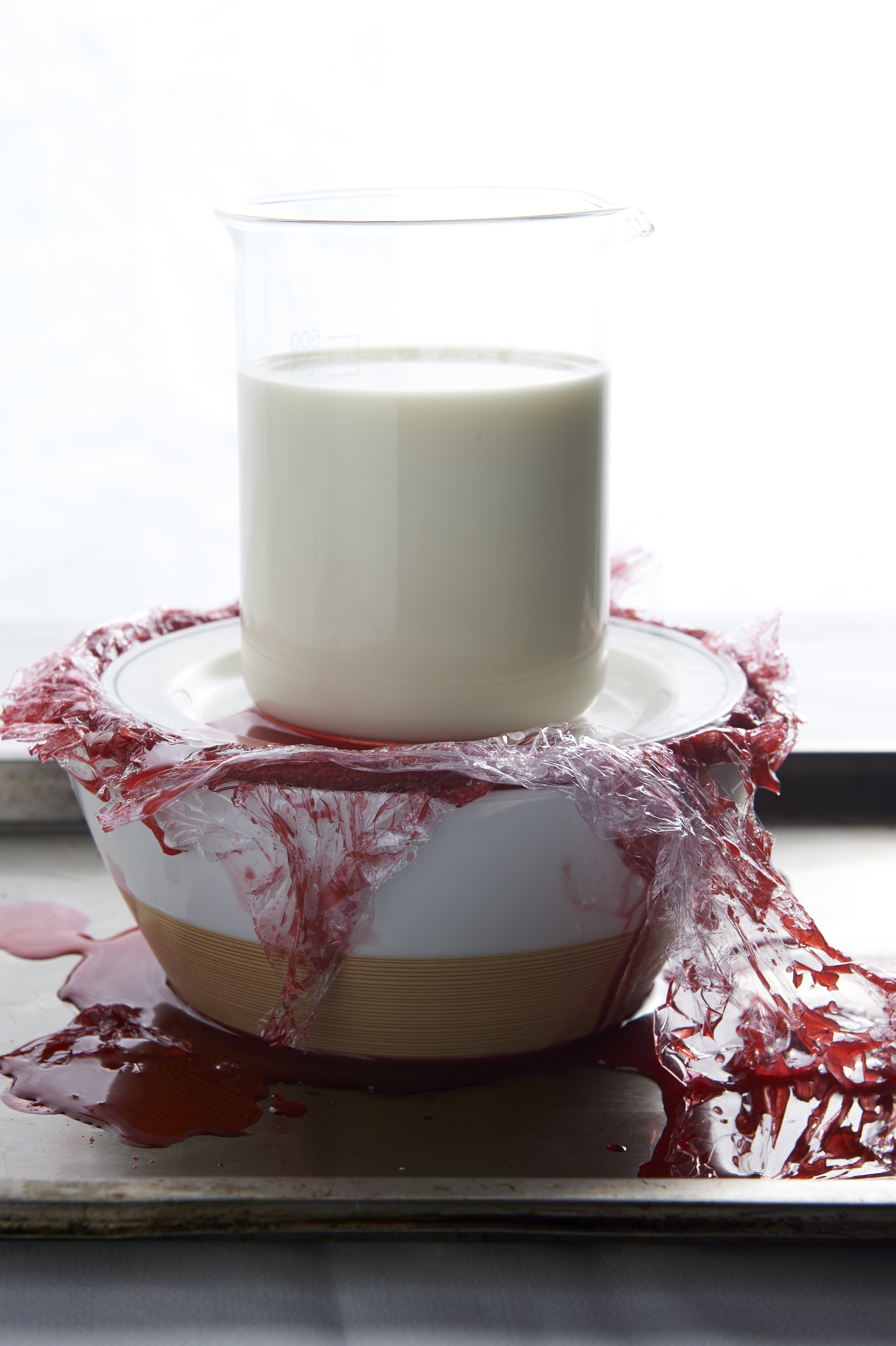 Summer pudding