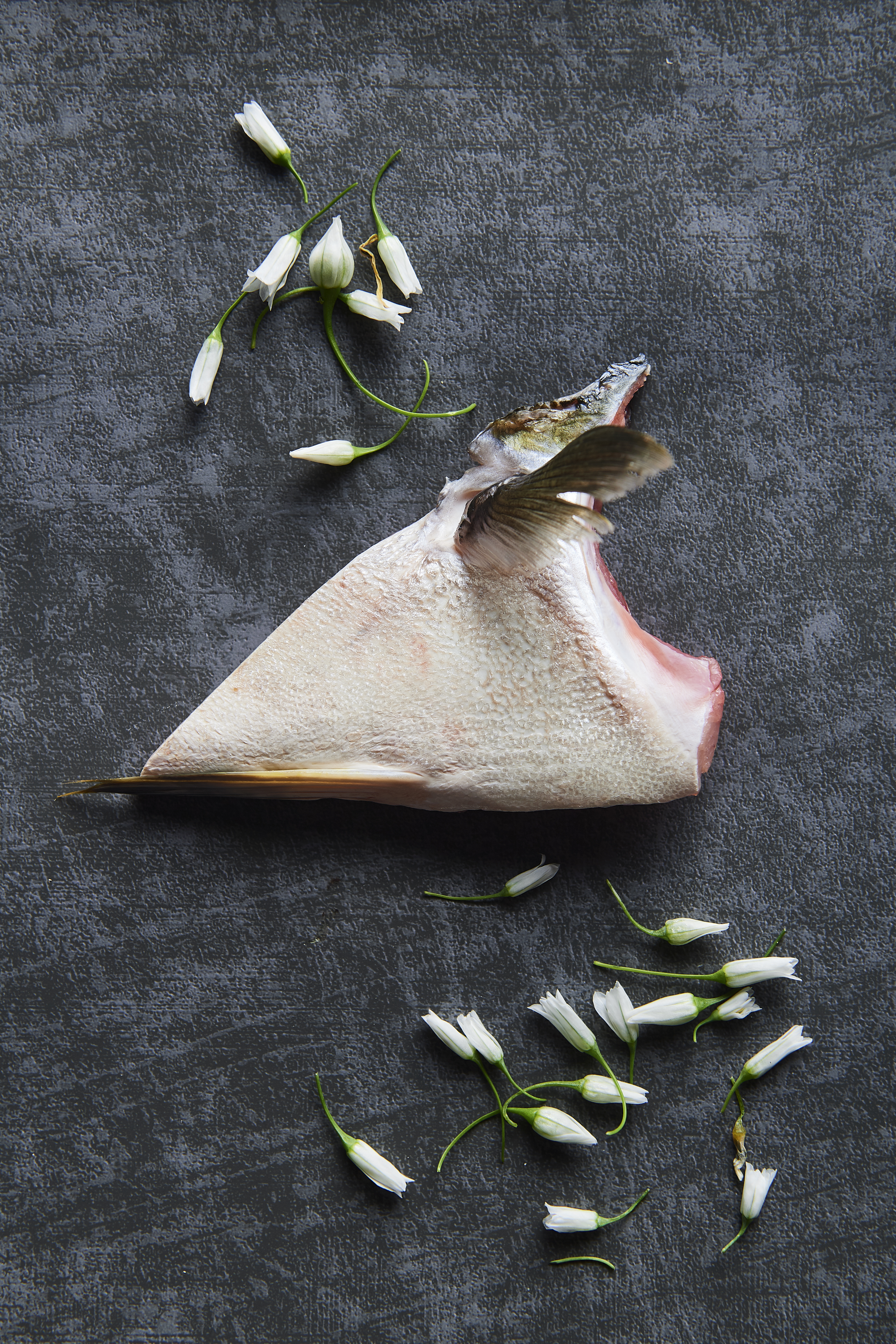 Grilled kingfish collar with tare and yuzu kosho