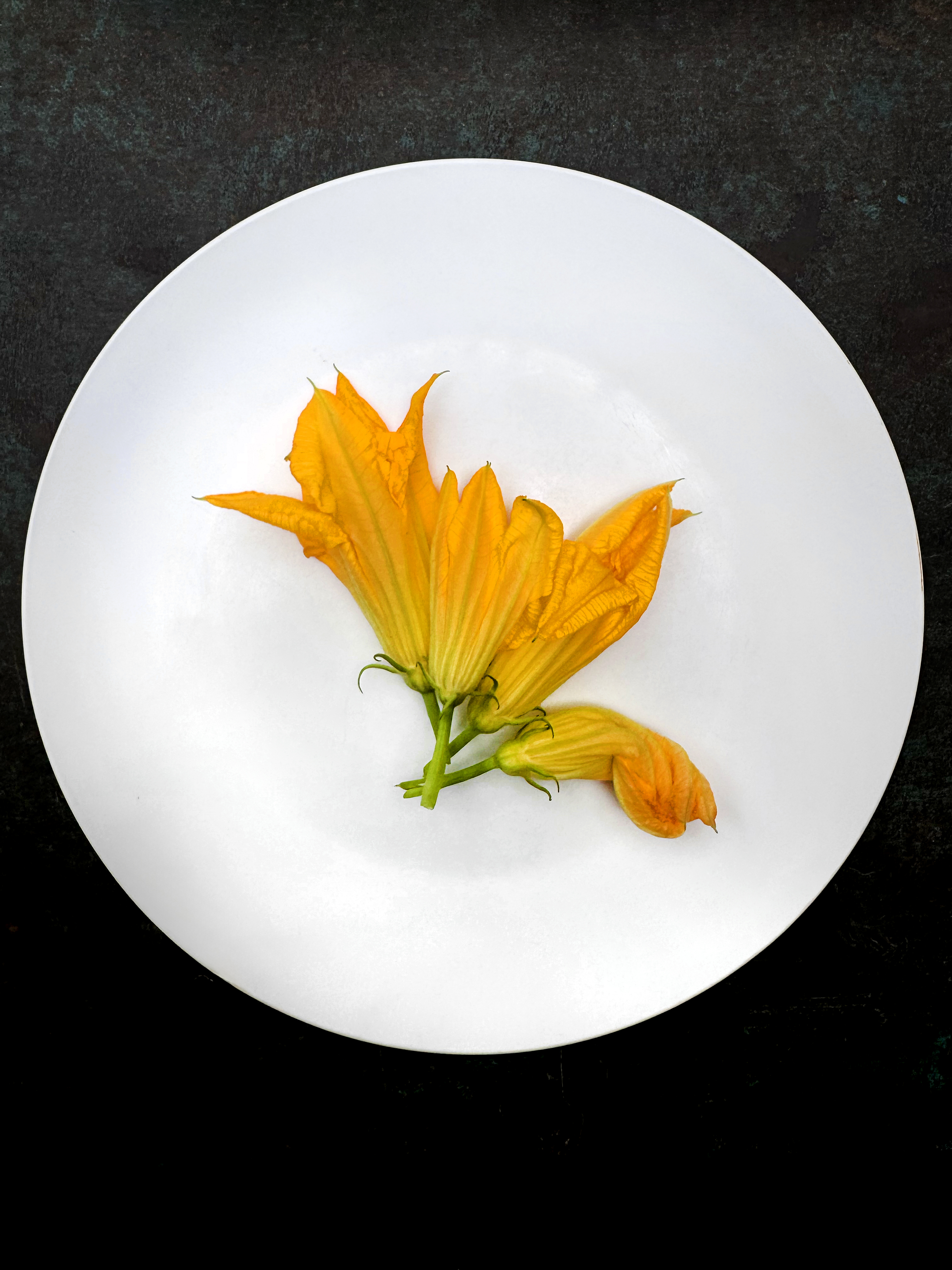 Stuffed zucchini flowers with scallop and zucchini schnitzel