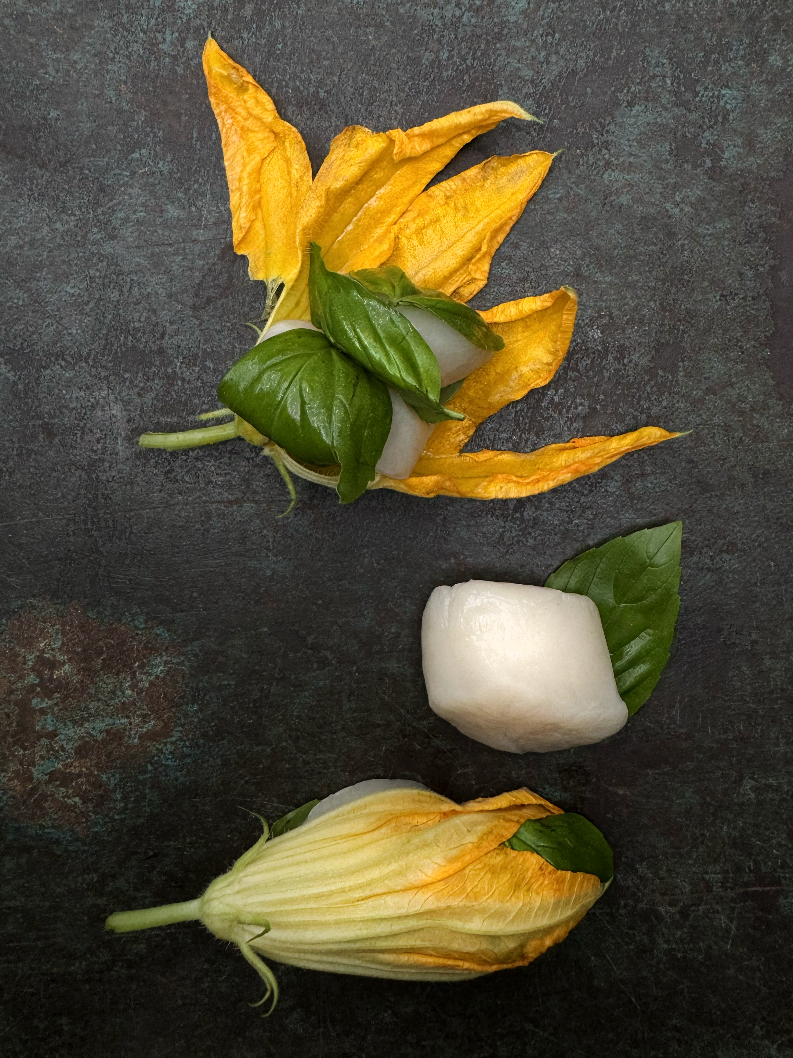 Stuffed zucchini flowers with scallop and zucchini schnitzel